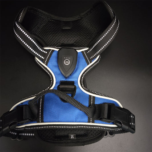 Luminous Dog Harness
