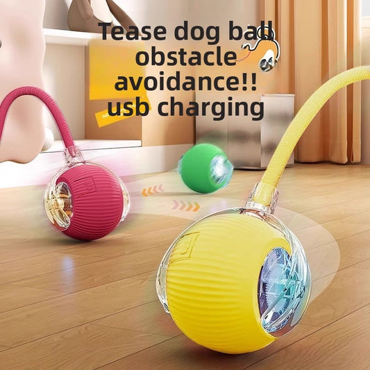Electric Dog Ball