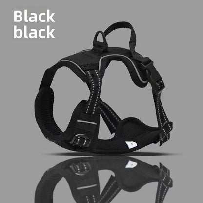 Dog Harness