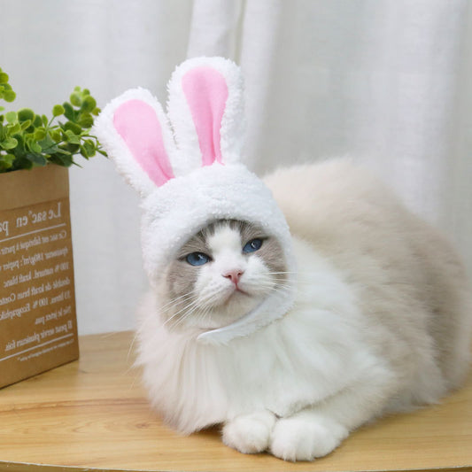 Hat with Rabbit Ears