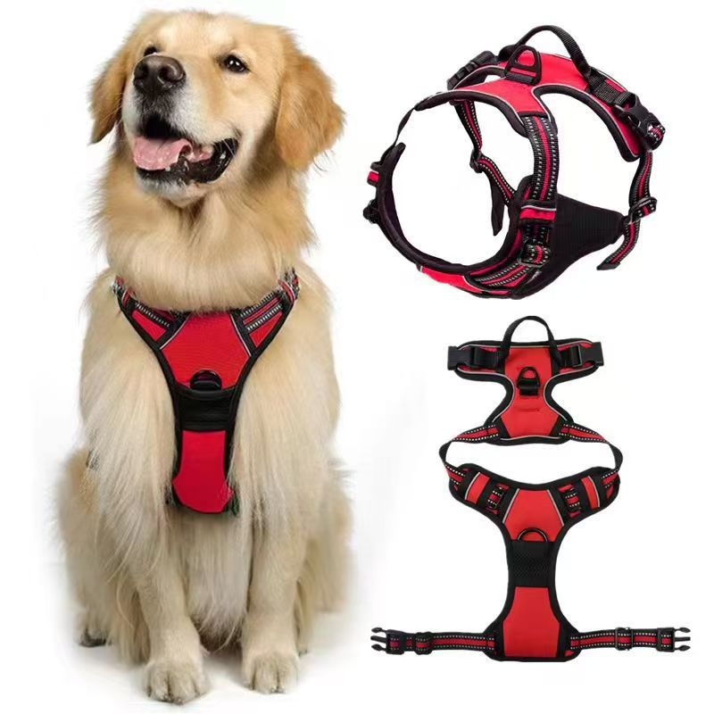Dog Harness